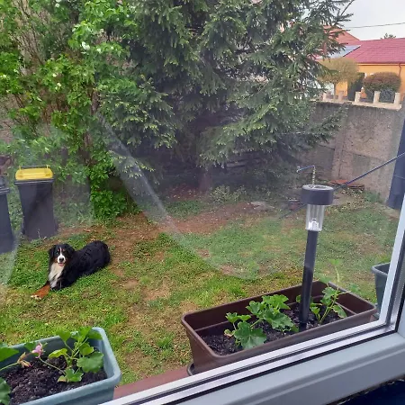 Vidam Haz Sopronkoevesd