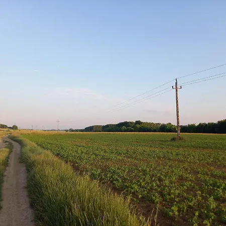 Vidam Haz, A Zoeld Szivue Faluban Sopron Mellett Apartment